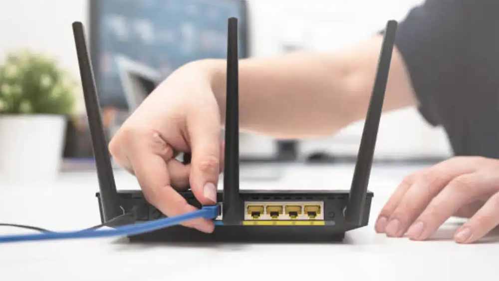 WiFi की स्पीड घटने का असली कारण: घर के हरे-भरे पौधे