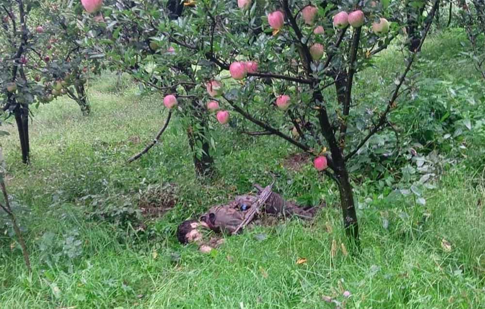 जम्मू-कश्मीर के कुलगाम में मुठभेड़ जारी, सुरक्षाबलों ने आतंकियों को किया निशाना