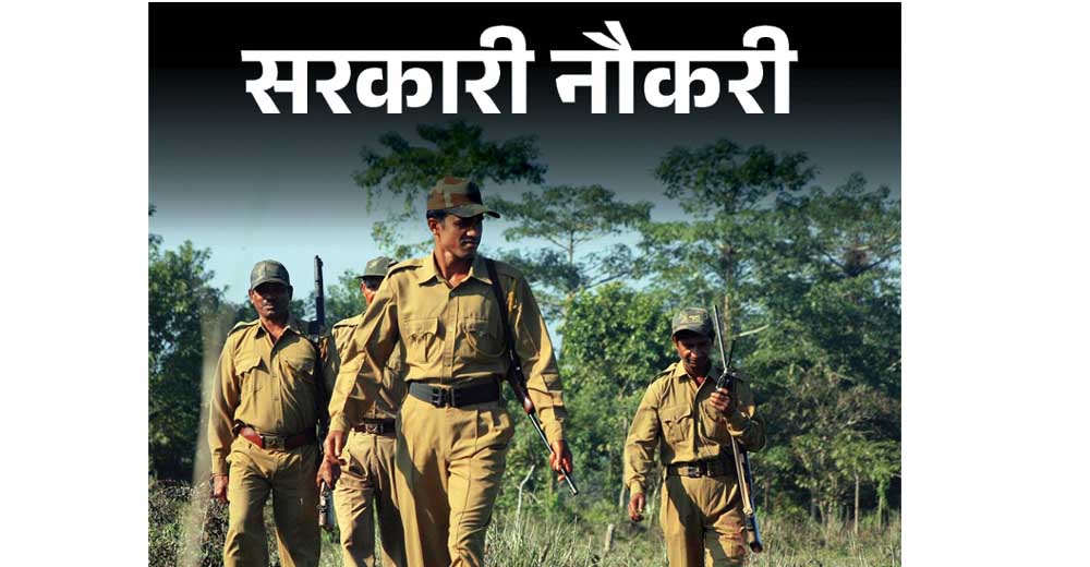 वन विभाग में भर्ती का इंतज़ार खत्म: वनरक्षक-वनपाल पदों पर आवेदन का मौका