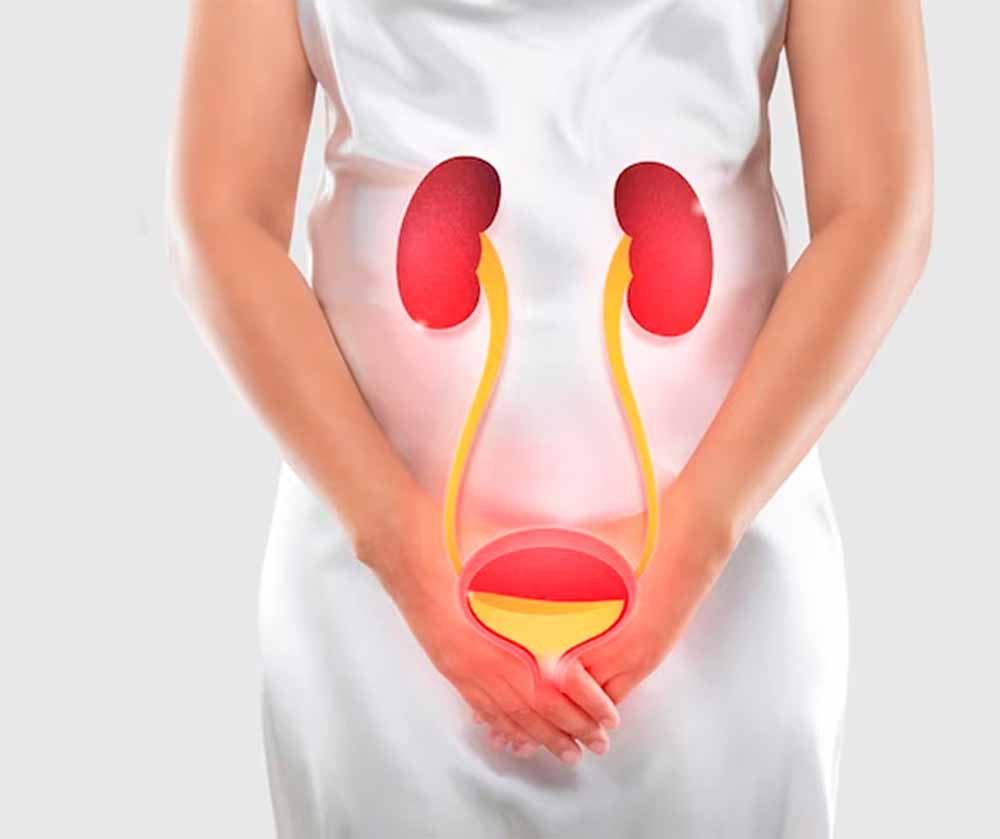 यूटीआई संक्रमण से बढ़ सकता है हार्ट अटैक का जोखिम, नई रिसर्च में खुलासा