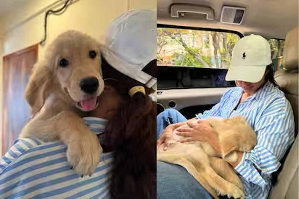 घर आया नया मेहमान, तृप्ति डिमरी ने फैंस संग शेयर की खुशी