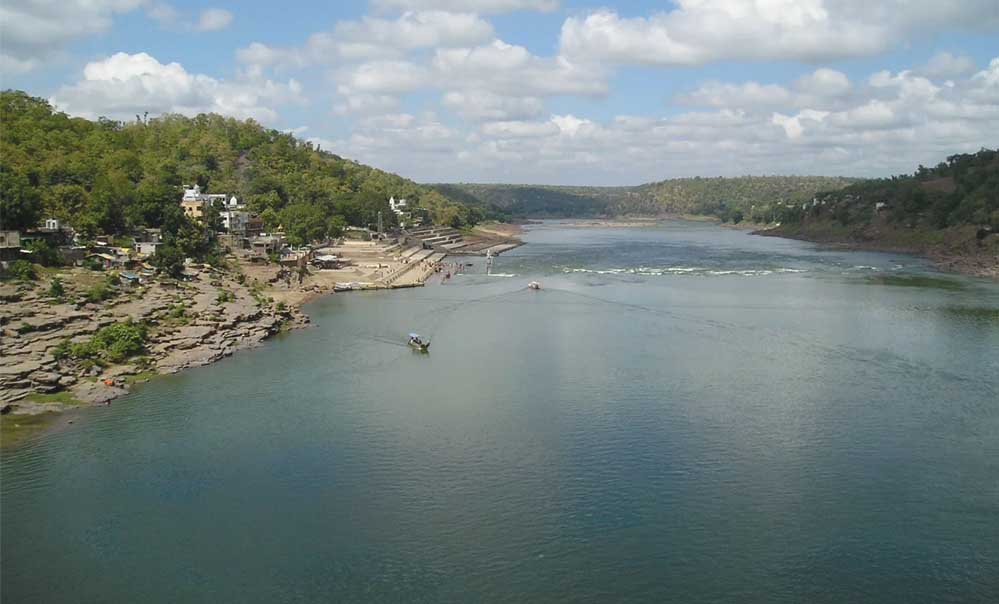 प्राकृतिक खेती से सजेगा नर्मदा का किनारा, MP सरकार ने बनाई नई कार्ययोजना