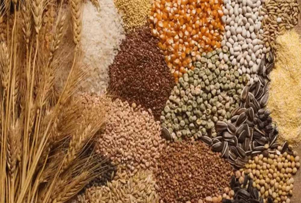 मोटे अनाज (श्रीअन्न)  मक्का, बाजरा व ज्वार की खरीद के लिए चल रहा किसानों का पंजीकरण