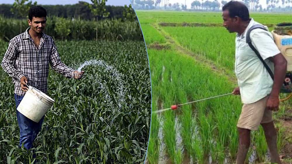 कम खेती, ज्यादा रासायनिक खाद: मध्यप्रदेश में 4.29 लाख टन बढ़ा उपयोग