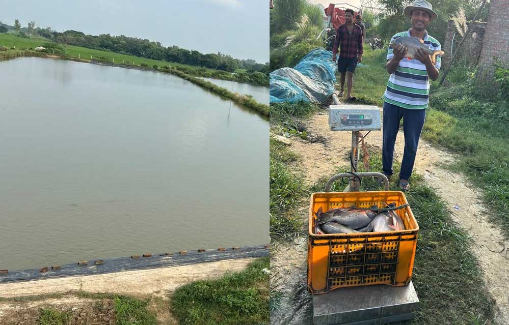 मिशन शक्ति: मत्स्य पालन में आत्मनिर्भरता की मिसाल बनीं मीरा सिंह, अपने साथ 10 अधिक लोगों को दे रही रोजगार