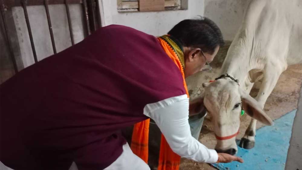 रायपुर : गौ-सेवा से ही मिलती है सच्ची शांति और ऊर्जा : मुख्यमंत्री विष्णु देव साय