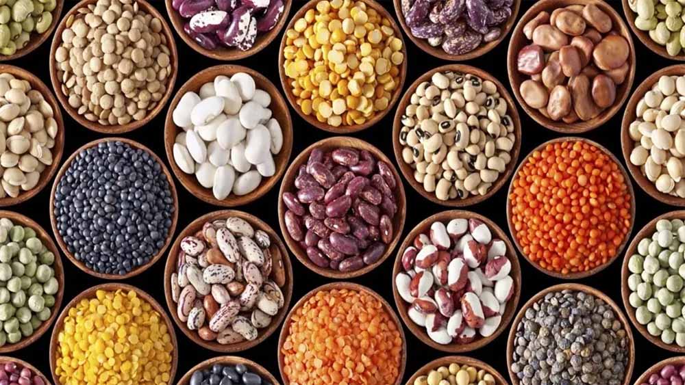 एमपी के 3 जिलों में बनेंगे ऑयल सीड हब, उत्पादन और रोजगार को मिलेगी रफ्तार