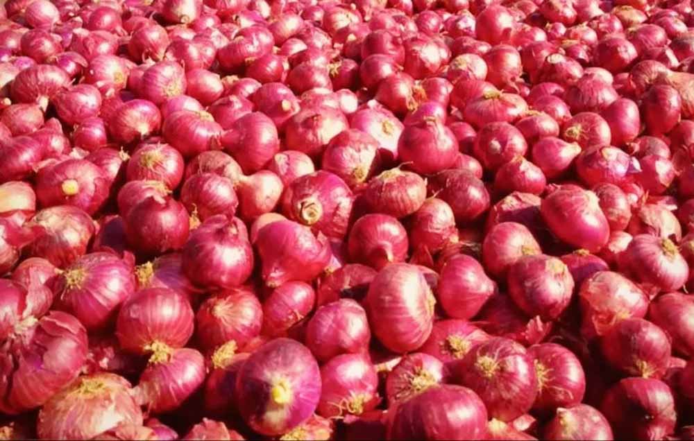 प्याज महंगा नहीं होगा! जानें किन शहरों में मिल रही सब्सिडी और वजह