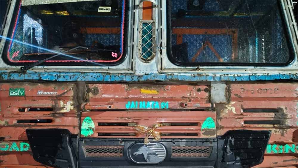 छत्तीसगढ़: दुर्ग में दर्दनाक हादसा, कंटेनर की टक्कर से 8 गायों की मौत