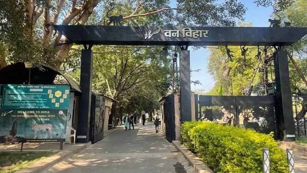 वन विहार राष्ट्रीय उद्यान भोपाल में राज्य स्तरीय वन्य-प्राणी सप्ताह-2025 का आयोजन एक से सात अक्टूबर तक किया जायेगा