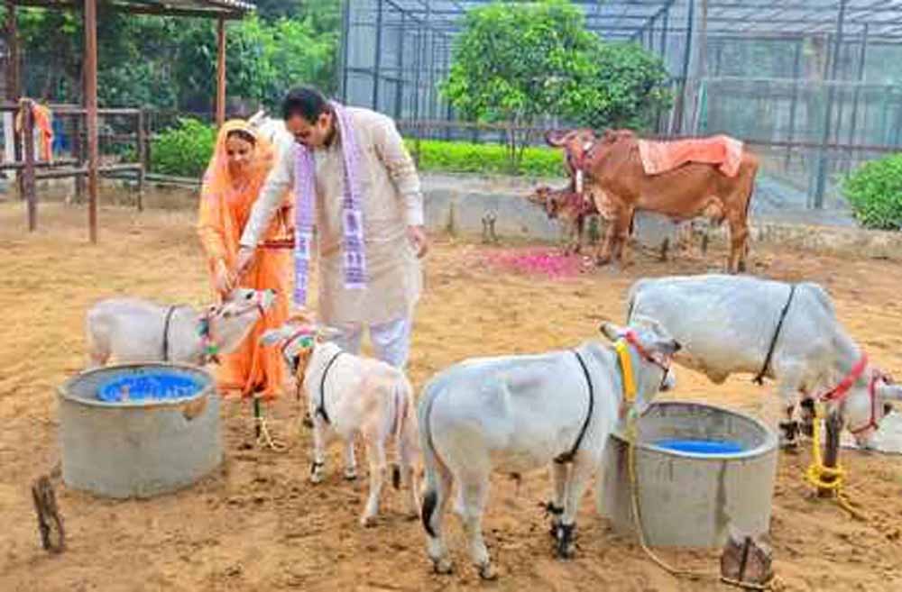 गौसंवर्धन से ही समृद्धि का मार्ग: गोपाष्टमी पर सीएम का संदेश