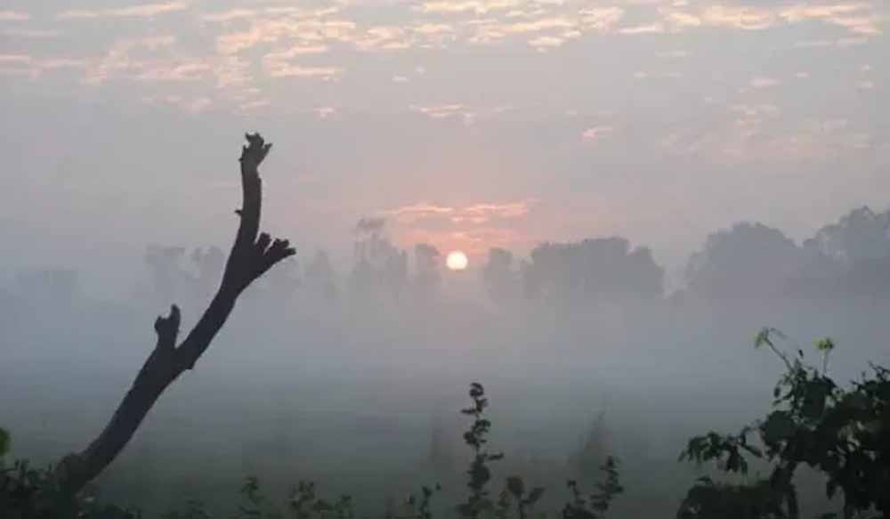 राजस्थान में ठंड का जोर, जानें कब तक जारी रहेगा असर और मिलेगी राहत