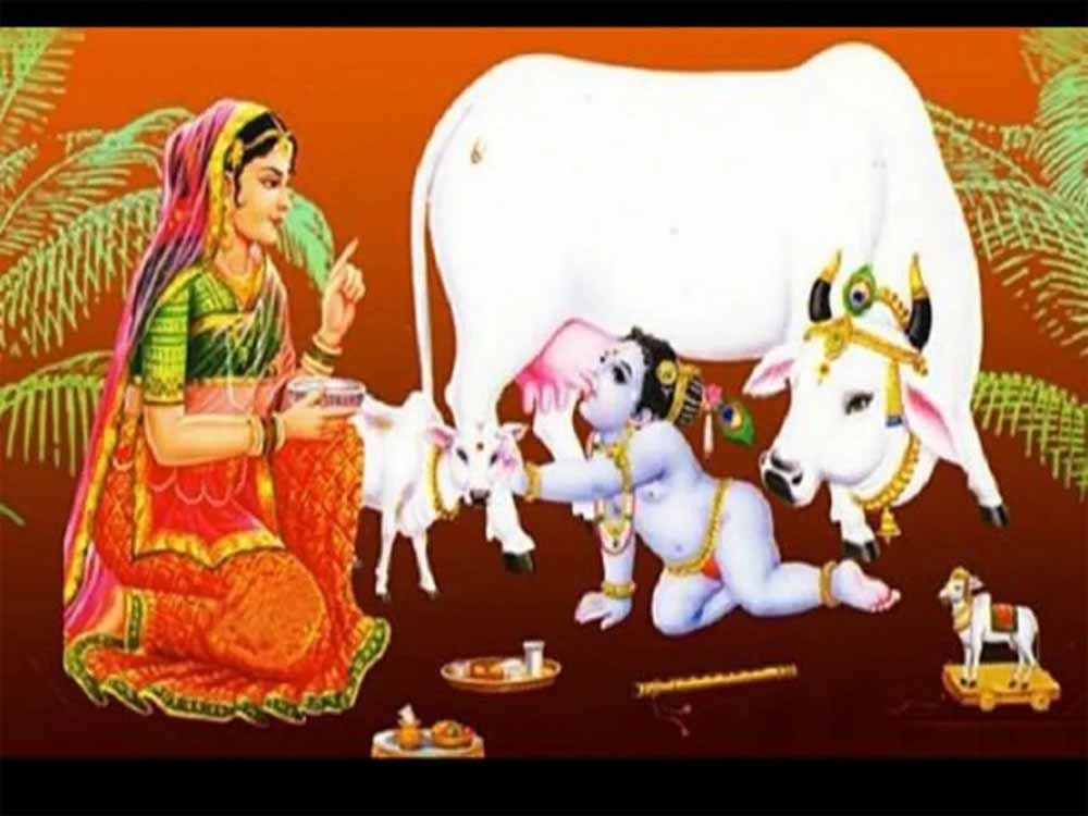 गोवत्स द्वादशी से शुरू हुआ दीपोत्सव का पंच पर्व, देखें पूजन विधि और शुभ समय