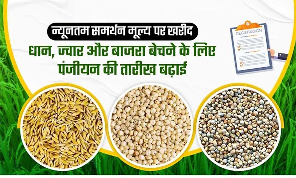 10 अक्टूबर अंतिम तारीख: समर्थन मूल्य पर उपार्जन हेतु कराएं धान, ज्वार व बाजरा का पंजीयन