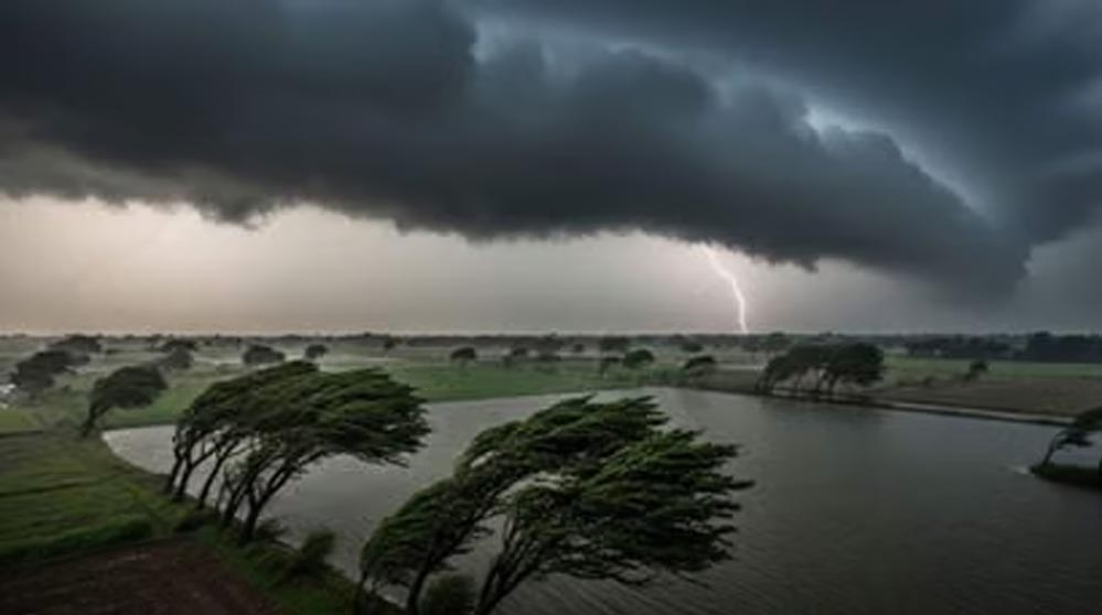 MP के ग्वालियर-जबलपुर समेत कई जिलों में बारिश जारी, अरब सागर के लो प्रेशर ने बढ़ाई ठंडक