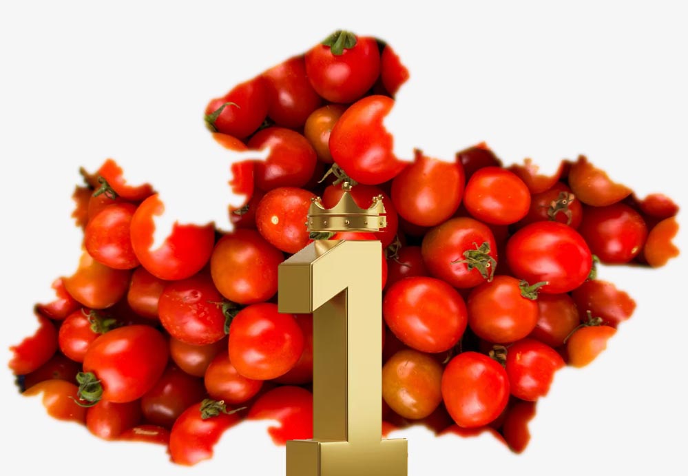 टमाटर उत्पादन में मध्य प्रदेश बना देश का नंबर-1 राज्य