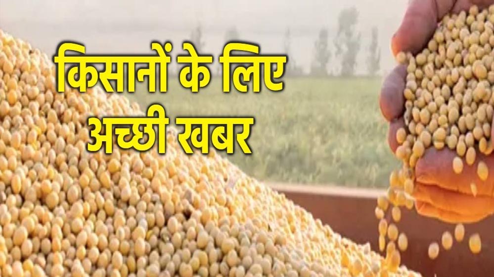 कृषि उपज मंडियों में सोयाबीन की जोरदार खरीदी, भावांतर योजना ने किसानों को दिलाई राहत