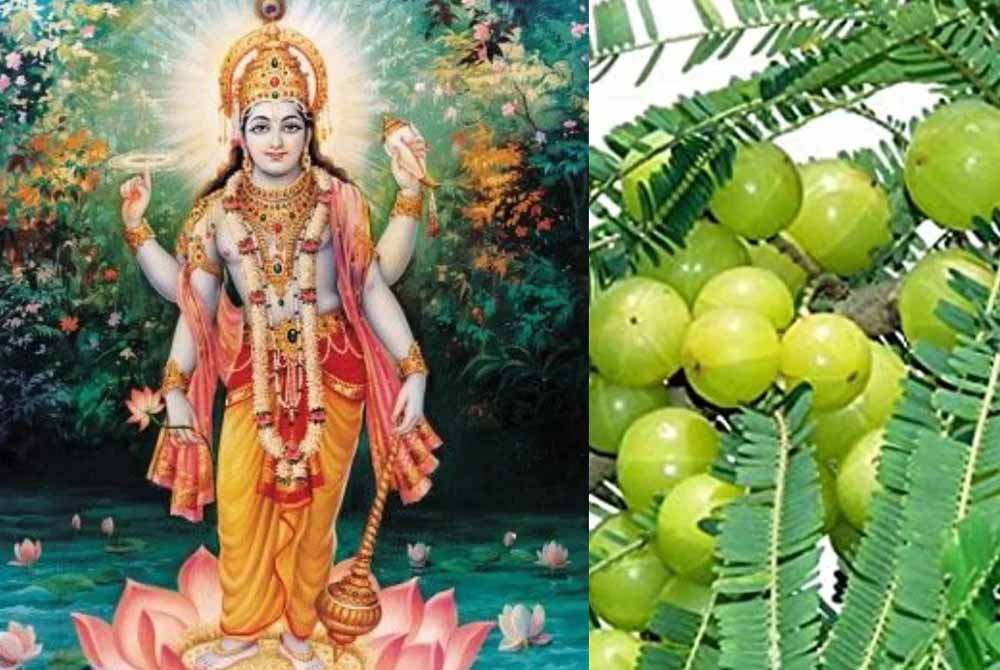 कब है अक्षय नवमी — 30 या 31 अक्टूबर? जानें पूर्ण पूजा विधि और महत्व