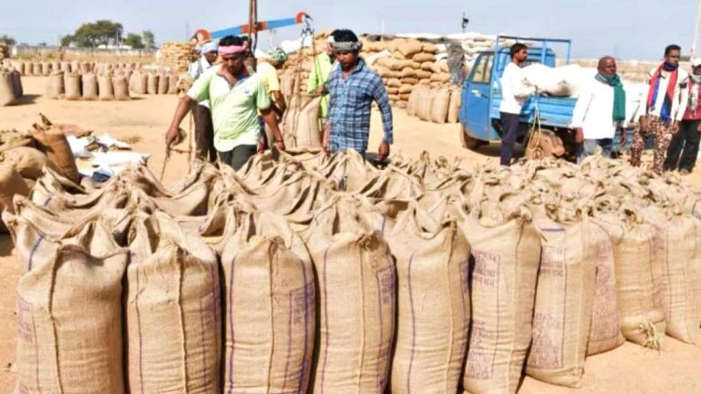 लखनऊ संभाग के उन्नाव, रायबरेली और लखनऊ में भी शनिवार से की जाएगी खरीद