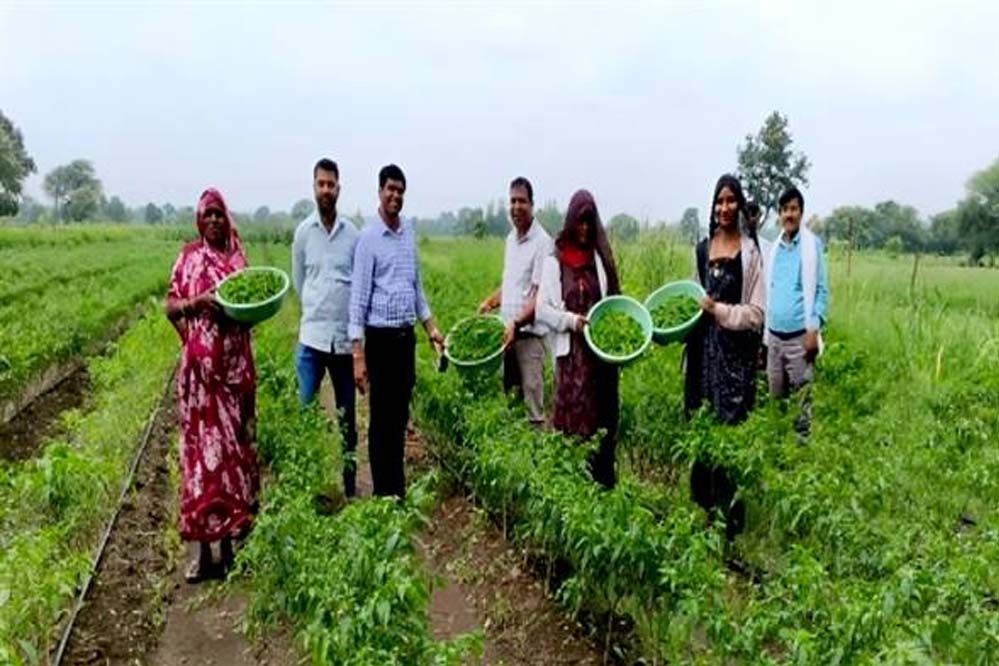 प्रधानमंत्री कृषि सिंचाई योजना का असर: MP के किसान क्लस्टर मॉडल से कर रहे तरक्की