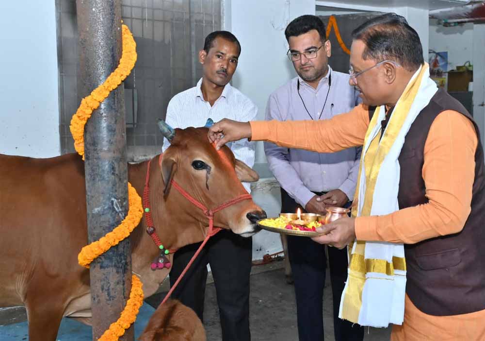 गौसेवा के संकल्प संग मनाई गोवर्धन पूजा, मुख्यमंत्री ने मांगी जनता की खुशहाली की दुआ