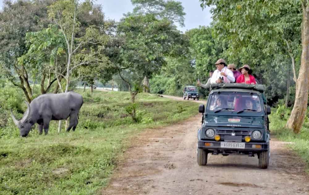 हेट पहनकर खुले आम घूमते दिखे सीएम मोहन यादव, पत्नी संग स्टाइलिश अंदाज में फोटो वायरल