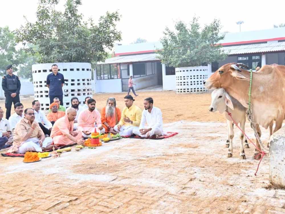 गायों संग गोवर्धन पूजा: सीएम योगी ने गोशाला में की सेवा, कराया विशेष पूजन