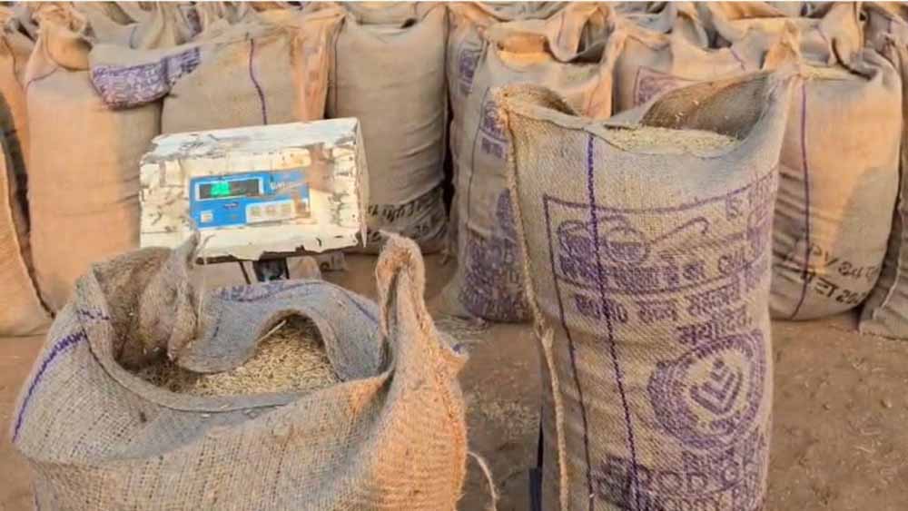 किसानों के धान पर ‘कांटा घोटाला’, मामला खुलते ही खरीदी प्रक्रिया तत्काल बंद