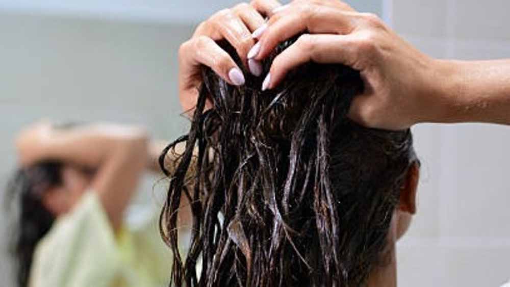 ऑयली बालों की परेशानी खत्म! घर पर बनाएं ये नैचुरल हेयर मास्क और पाएं सिल्की हेयर