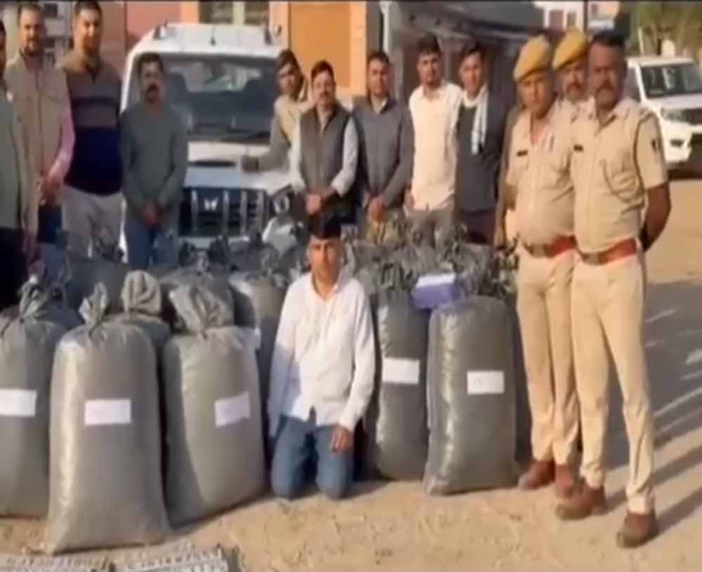 एएनटीएफ का ड्रग्स माफिया पर शिकंजा: जोधपुर में 82 लाख का डोडा पोस्त जब्त