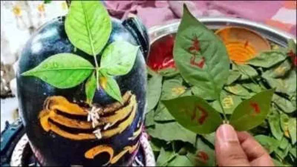शिवलिंग पर ऐसे चढ़ाए बेलपत्र, खत्म होगी धन संबंधी दिक्कत