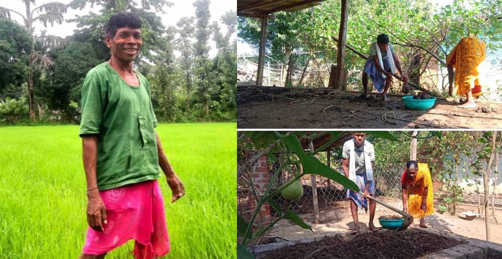 नवाचार की नई मिसाल : जैविक खेती, फसल विविधता, पशुपालन और मत्स्य पालन का एकीकृत मॉडल