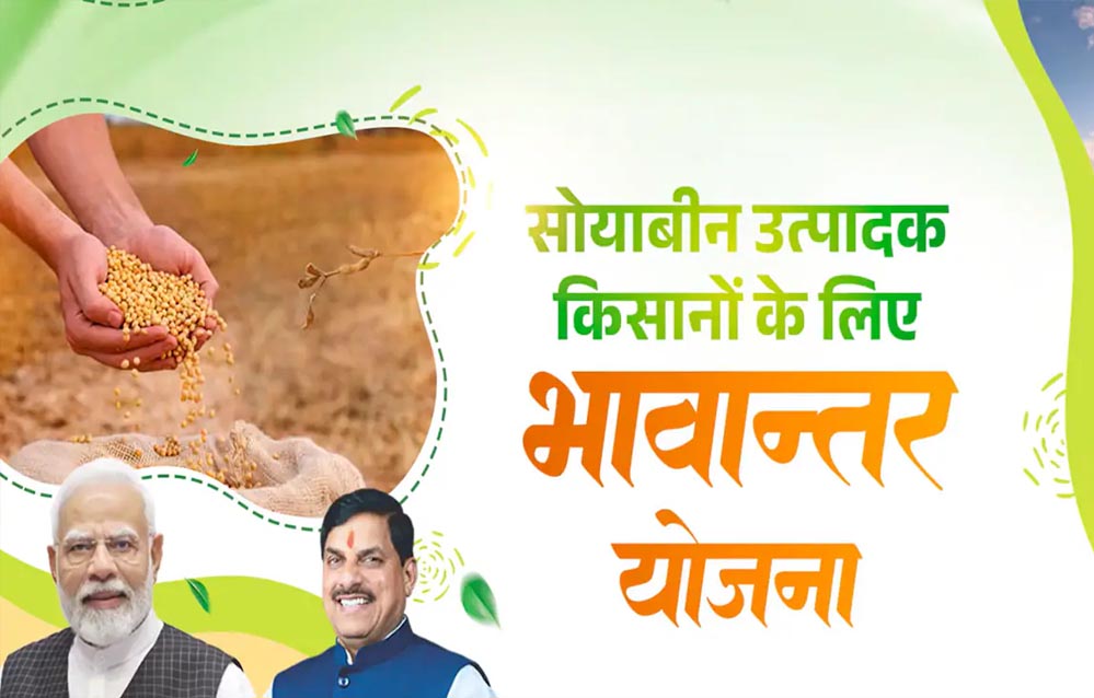 कृषि भाव अपडेट: भावांतर योजना में आज का रेट 4056 रुपए/क्विंटल