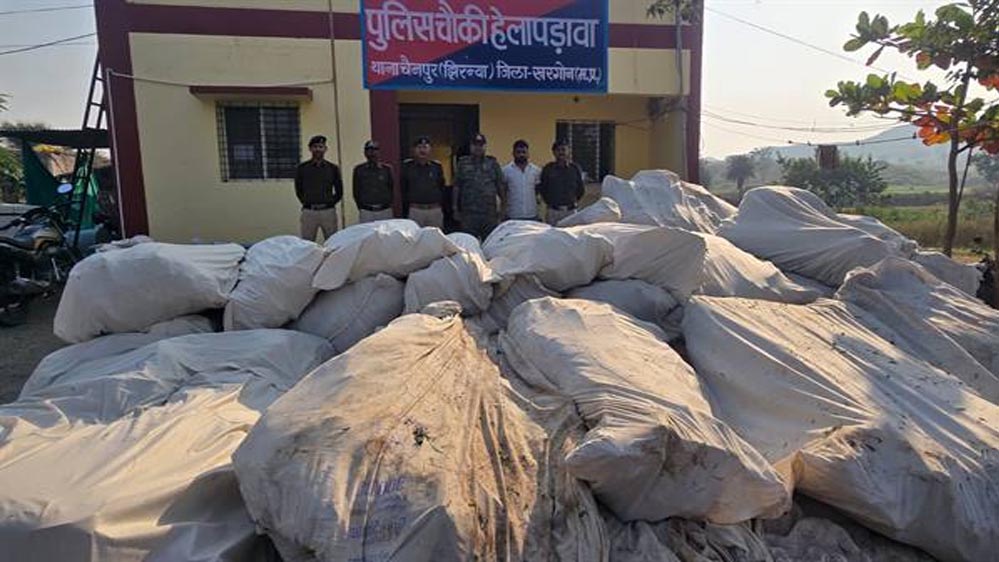 नशे के विरुद्ध बड़ी जीत: खरगोन पुलिस ने उजागर की पहाड़ी क्षेत्र में चल रही अवैध गांजा खेती