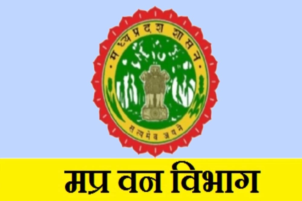 वन विभाग ने स्पष्ट किया, वरिष्ठ अधिकारी सुरक्षित, पदावनति की चिंता खत्म
