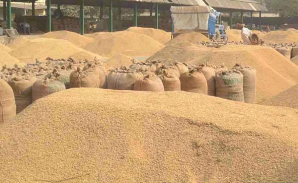 धान खरीद : धान किसानों को किया गया 1868.35 करोड़ रुपये का भुगतान