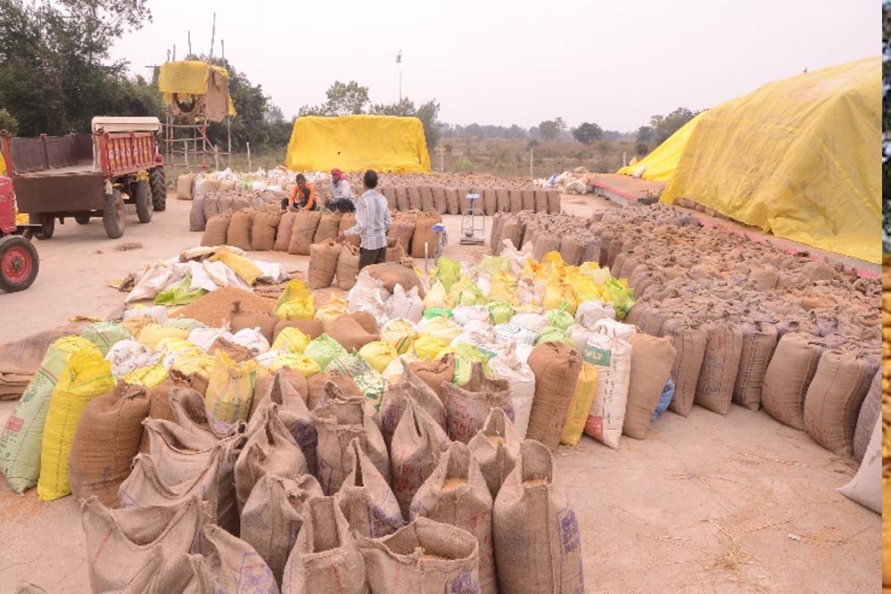 15 नवम्बर से होंगी धान खरीदी प्रारंभ 9 नवम्बर से किसानों को जारी होंगे टोकन