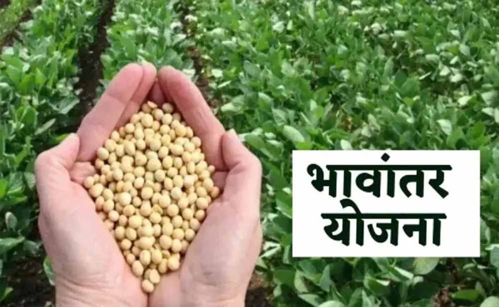 भावांतर योजना में सोयाबीन का मॉडल रेट बढ़कर हुआ 4285 रुपए