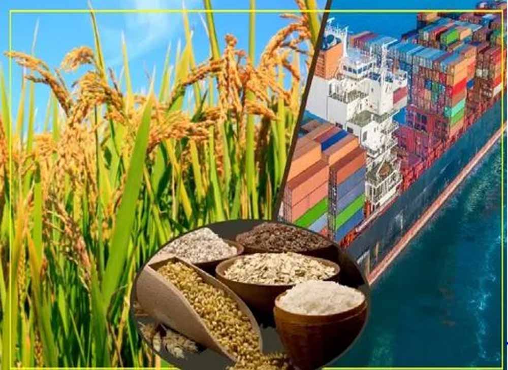 भारत का फूड-बास्केट बना MP: कृषि विकास में रचा नया कीर्तिमान