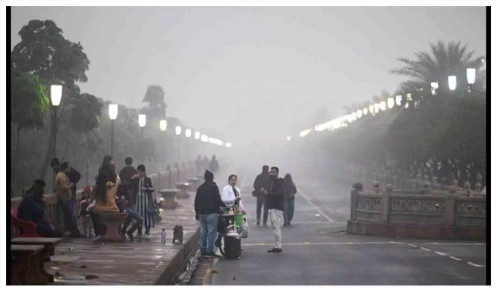 मध्यप्रदेश में ठंड का कहर: राजगढ़ सबसे ठंडा, पूरे प्रदेश में कोल्ड वेव की चेतावनी