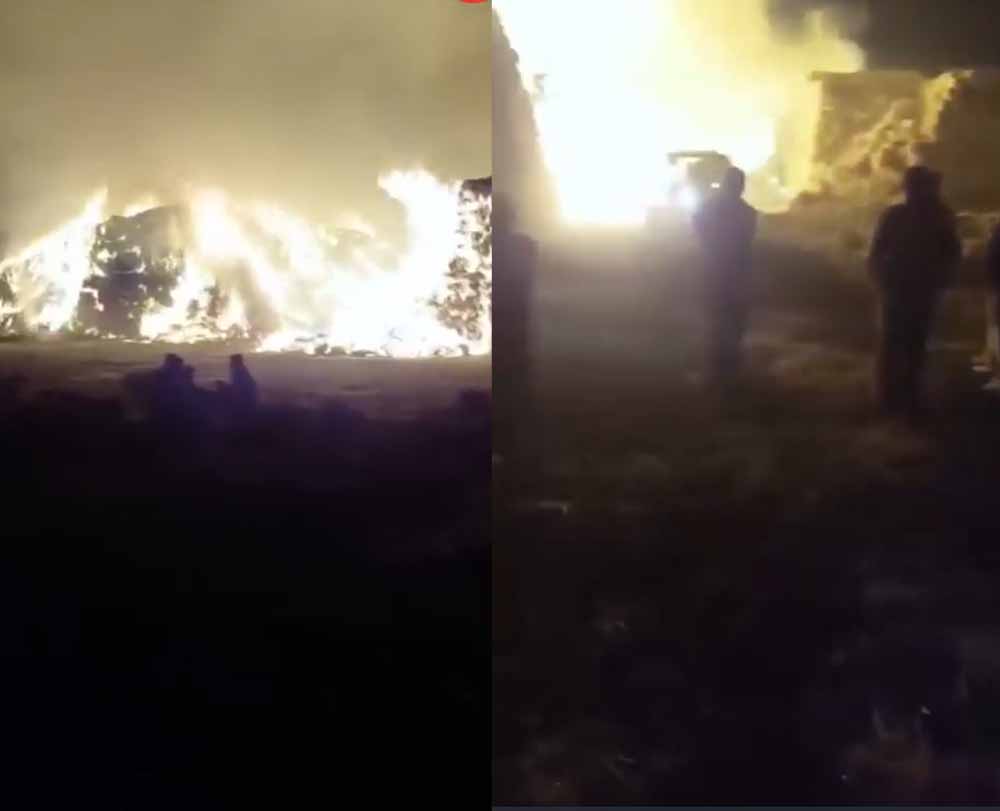 पराली प्रोसेसिंग प्लांट में आग का तांडव, 100+ श्रमिक सुरक्षित बाहर निकाले गए