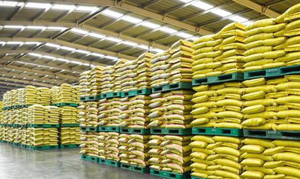 किसानों के लिए राहत: ई-टोकन से खाद वितरण शुरू, अब लंबी कतारों में समय नहीं खोएंगे