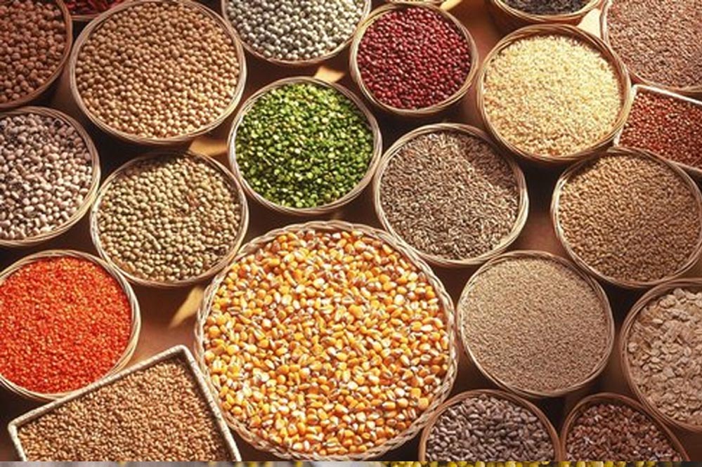 इंदौर में तीन दिवसीय जैविक महोत्सव 12 दिसंबर से, ग्रामीण हाट बाजार में होगा आयोजन