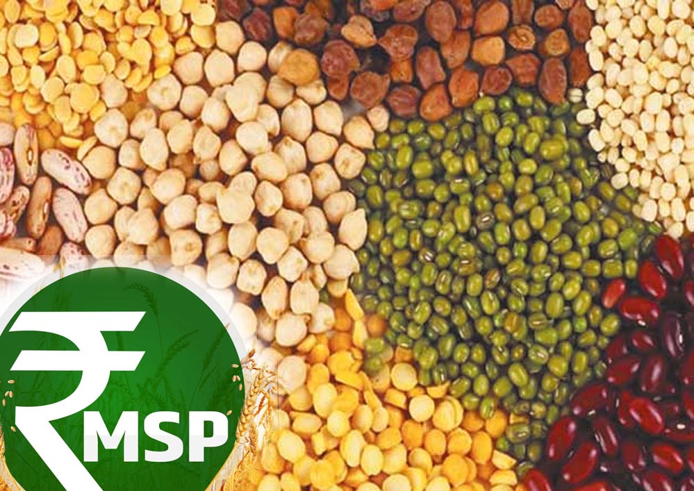 केंद्रीय कृषि मंत्री ने राज्यसभा में किया एलान, MSP पर किसानों को मिलेगी कानूनी गारंटी की दिशा में काम