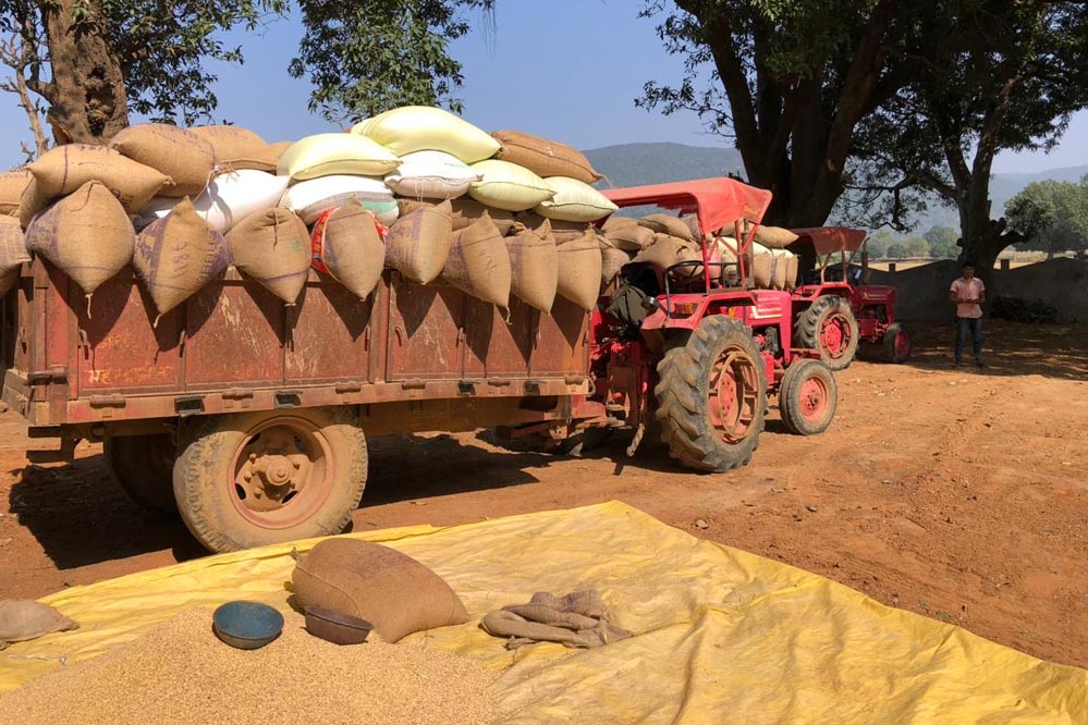 रायपुर : उपार्जन केंद्रों में धान खरीदी सुचारू रूप से जारी