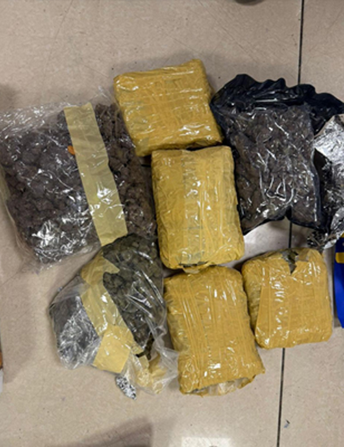 ड्रग तस्करी पर करारा प्रहार: मुंबई एयरपोर्ट से 33.42 किलो हाइड्रोपोनिक वीड बरामद