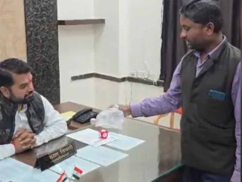 जब हद से बढ़ा मच्छरों का आतंक: युवक ने मारे मच्छर पैक किए और सीधे नगर निगम में किया प्रदर्शन