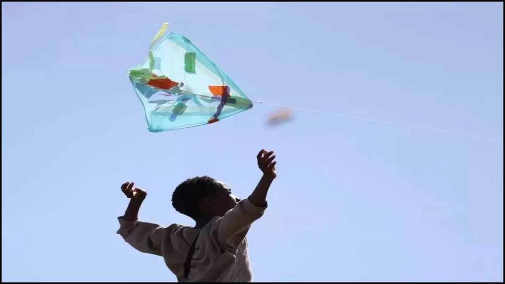 बड़वानी में पतंग उड़ाने पर हिंसा, दो समुदाय आमने-सामने, 50 से अधिक पर केस