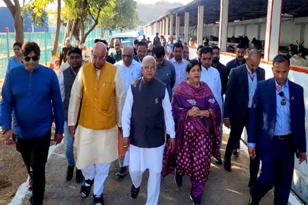 राज्यपाल पटेल ने किया गौवंश का पूजन मुरारीलाल तिवारी गौशाला का किया भ्रमण
