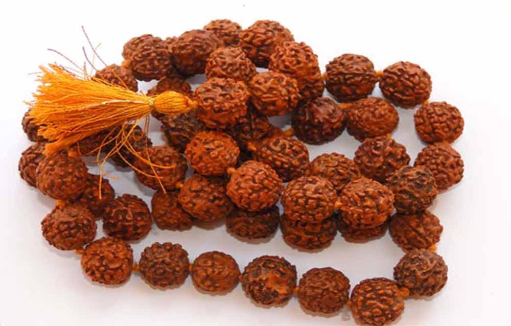 रुद्राक्ष पहनने की सोच रहे हैं? पहले पढ़ें ये नियम, वरना हो सकता है नुकसान